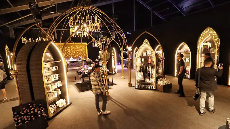 Harry Potter: Visions of Magic